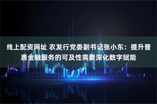 线上配资网址 农发行党委副书记张小东：提升普惠金融服务的可及性需要深化数字赋能